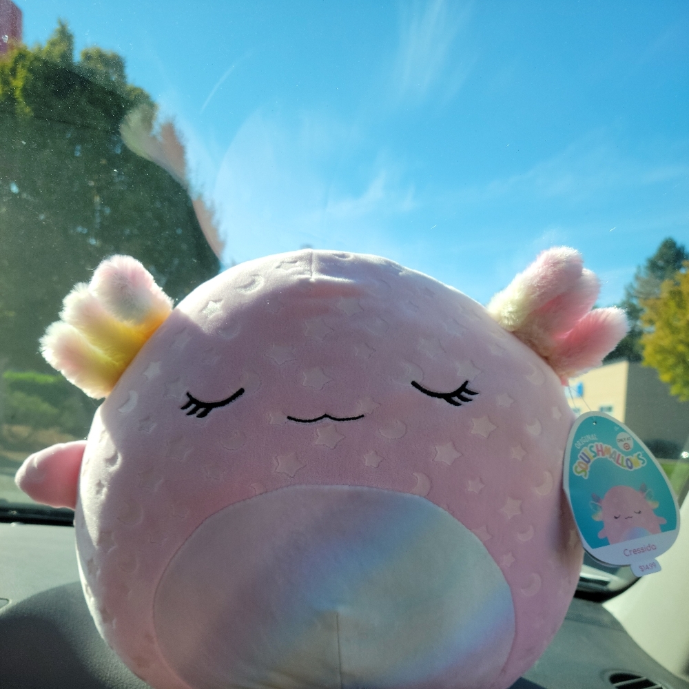 Squishmallows Cressida